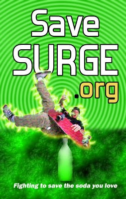 The cover of a SaveSURGE.org journal.